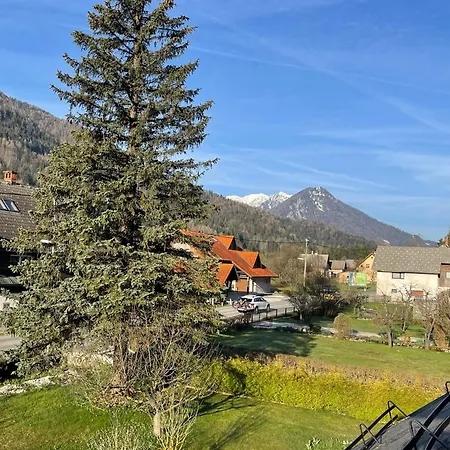 Walter * Gozd Martuljek